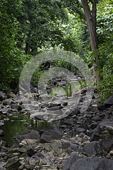 Forest River Stream with Rocks and Trees in Central India