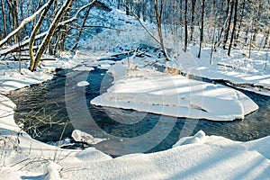 Forest river in winter