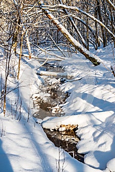 Forest river in winter
