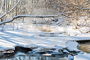 Forest river in winter