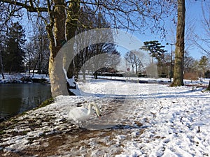 Forest riverside pathway and snow covered grounds