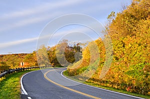 Forest road in autumn