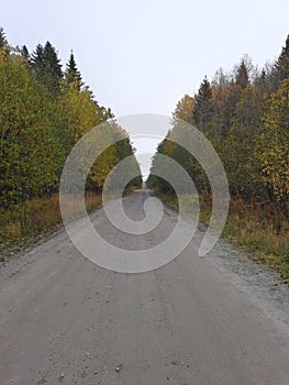 Forest Road.  Autumn forest.  Republic of Karelia