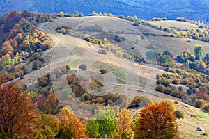 Forest road, autumn landscape of the carpathians