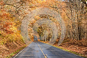 Forest road in autumn - Shenandoah National Park