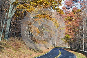 Forest road in autumn - Shenandoah National Park