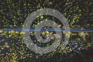 Forest Road with a car drone view