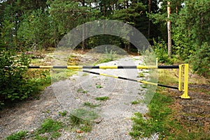 Forest road closed to protect wildlife