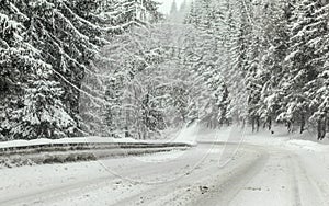 Forest road covered with snow during winter blizzard snowstorm, trees on both sides. Dangerous driving conditions