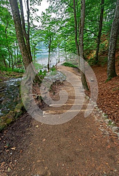 Forest Road In the Forest Plitvice Croatia.