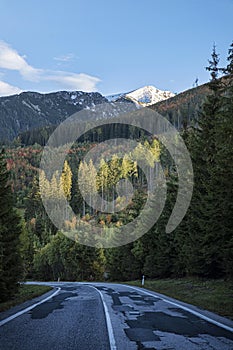 Forest road in High Tatras mountain, Slovakia