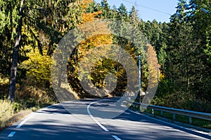 Forest road during late October.