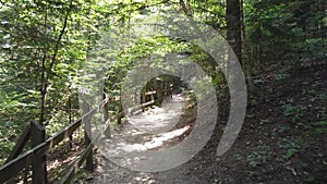 Forest road leading to observation terrace at top of Valla Canyon, Kastamonu Turkey