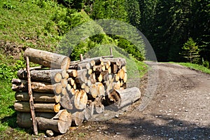 Forest road with logpile