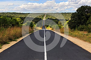 Forest with road at National park Zombitse in Madagascar