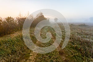 Forest road on a picturesque foggy field. Road for poachers and fishermen across the border photo