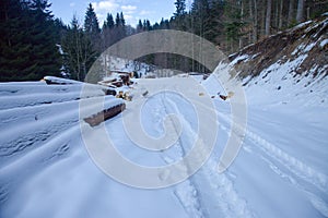 Forest road in PoÄ¾ana mountains covered by white snow during winter season, Slovakia