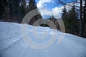 Forest road in PoÃ„Â¾ana mountains covered by white snow during winter season, Slovakia