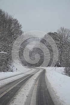 Forest road in snow photo