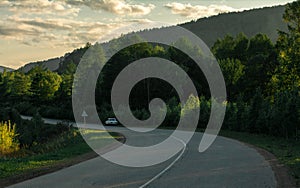 Forest road and sunset landscape