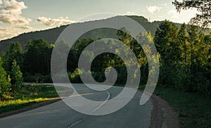 Forest road and sunset landscape