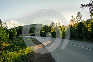 Forest road and sunset landscape