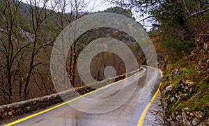 The forest road, wet from the falling rain, winds through the hills and goes into the distance