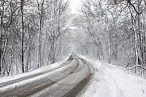 Forest road in winter covered in snow