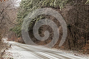 Forest road in winter on the Shumen plateau