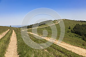 Forest roads among green mountains