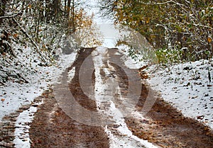 Forest roads and trails in beginning of winter