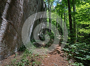 Forest and Rock along Algonquin Highlands Trails in Haliburton Ontario