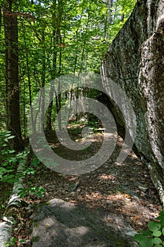 Forest and Rock along Algonquin Highlands Trails in Haliburton Ontario