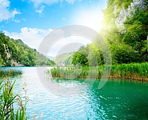 Forest rock and lake