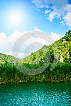 Forest rock and lake