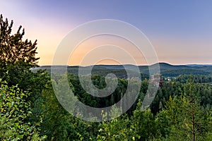 Forest with Rock near Dahn during Sunset, Dahner Felsenland, Rhineland-Palatinate, Germany, Europe