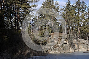 Forest on the rock at quarry lake
