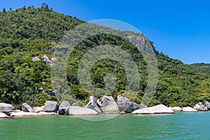 Foresta un rocce Spiaggia 