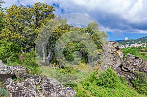Forest, rocks and a village in spring