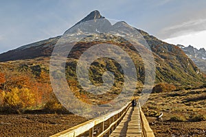 Forest and rocky mountains landscape, tierra del fuego, argentina