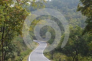 Forest route in karnataka