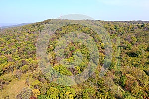 Forest of russia vladivostok sky sunny tourism primorsky kray