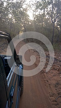 Forest safari in open Jeep