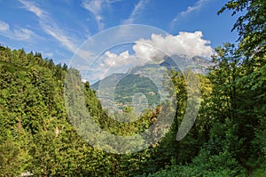 Forest in Saint-Gervais-Les-Bains with alpine mountains landscape photo