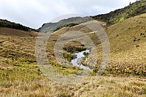 Forest, savanna, and water at Horton Plains photo