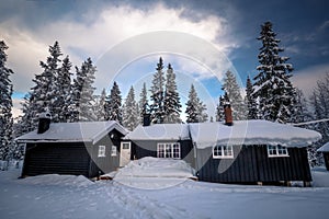 Forest scandinavian cabin in snowy woodland. Winter in Norway