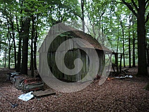 Forest scape travel mania summer times Germany Reken Germany prints
