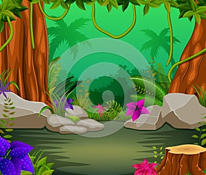 Forest scene with lots of trees