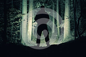 Forest Search Using Powerful Flashlight