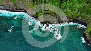 Forest on Shore Turquoise Pure Water Ocean Coast